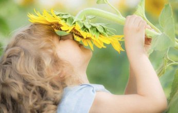 الروائح.. نافذة الذاكرة والعاطفة وأداة قديمة لتشخيص الأمراض