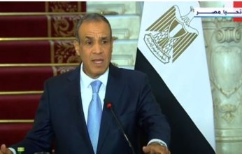 وزير الخارجية المصري: سنشارك في تحالف مجري لإقامة محطة كهربائية بتكلفة أكثر من 600 مليون يورو