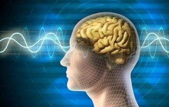 دراسة حديثة: الكحول يتسبب في أضرار طويلة الأمد لمناطق اتخاذ القرار في الدماغ