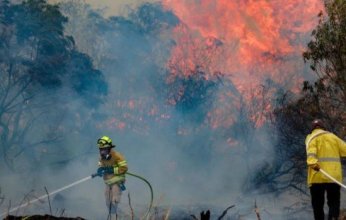 بالفيديو.. حرائق ضخمة قرب القدس تدفع إسرائيل لإعلان حالة الطوارئ