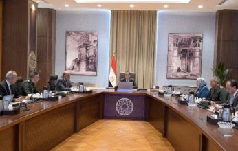 مصر.. رئيس الوزراء يُتابع موقف توصيل المرافق لمشروعات الاستصلاح الزراعي في "الدلتا الجديدة"