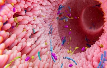 الميكروبيوم المعوي.. مفتاح جديد للحد من تطور السكري من النوع الأول