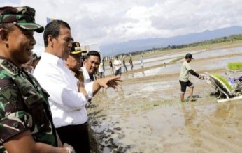 إندونيسيا تبدى استعدادها لتعزيز التعاون الزراعى مع فلسطين