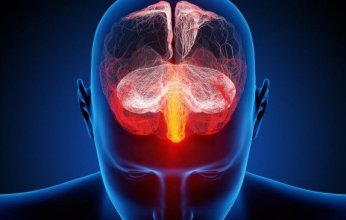 باحثون روس يطورون دواء لعلاج الجلطات الدماغية باستخدام الخلايا الجذعية