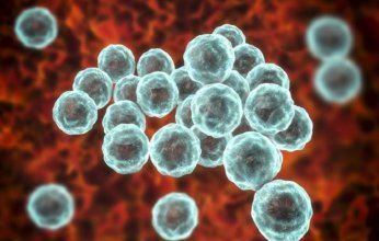 كارثة صحية تضرب ولاية أمريكا.. قفزة هائلة في حالات الزهري الخلقي بنسبة 1450%.. ماذا يحدث؟