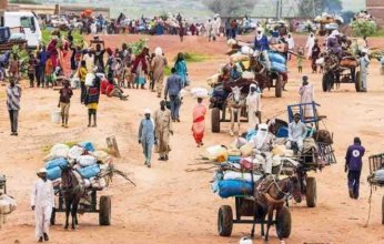 المنظمة الدولية للهجرة: السودان يشهد أسوأ أزمة نزوح في العالم
