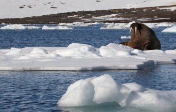 أضرار مناخية عالمية تقدر بـ28 تريليون دولار بسبب 111 شركة كبرى