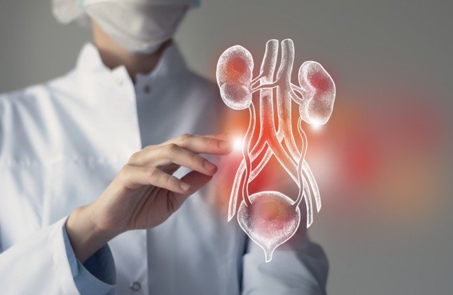 نجاح أول عملية زرع مثانة في العالم.. "لحظة فارقة في تاريخ الطب" نجاح أول عملية زرع مثانة في العالم.. "لحظة فارقة في تاريخ الطب"
