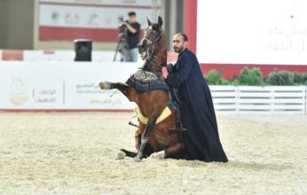 الفارس الكويتي بدر الدبوس يتوج بالمركز الأول في بطولة «فرسان مصر لأدب الخيل»