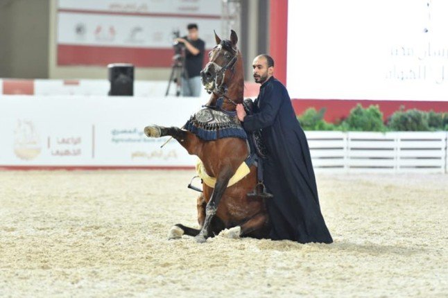 الفارس الكويتي بدر الدبوس يتوج بالمركز الأول في بطولة «فرسان مصر لأدب الخيل» الفارس الكويتي بدر الدبوس يتوج بالمركز الأول في بطولة «فرسان مصر لأدب الخيل»