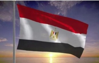 ترحيب مصري بإعلان وقف إطلاق النار بين الهند وباكستان
