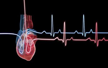 ثورة علمية.. خلايا القلب السليمة قد تكون السبب الخفي في تلفه بعد النوبات