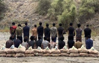 ضبط 22 شخصا لمحاولتهم تهريب كمية من نبات القات المخدر بمنطقة عسير