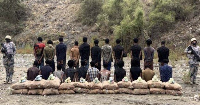 ضبط 22 شخصا لمحاولتهم تهريب كمية من نبات القات المخدر بمنطقة عسير ضبط 22 شخصا لمحاولتهم تهريب كمية من نبات القات المخدر بمنطقة عسير
