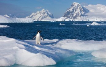 ظاهرة غريبة في "أنتاركتيكا" تحير العلماء.. .هل هي تحوّل مناخي أم استثناء عابر؟