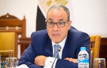 وزير الخارجية المصري يدين غارات الاحتلال الإسرائيلي على المنطقة المجاورة للقصر الرئاسي بدمشق