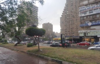 بالفيديو.. سقوط أمطار على مناطق متفرقة بمنطقة المهندسين في مصر