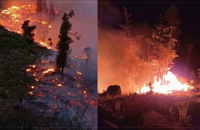 ماذا يحدث في أفغانستان.. حرائق الغابات تلتهم 30 هكتاراً في ولاية كونار ماذا يحدث في أفغانستان.. حرائق الغابات تلتهم 30 هكتاراً في ولاية كونار
