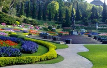 الصين تطلق أول منصة رقمية للتنوع البيولوجي الاستوائي