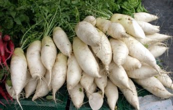 الفجل الحار.. مضاد طبيعي للبكتيريا يعزز المناعة ولكن يجب الحذر منه في بعض الحالات