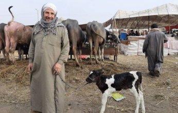 الزراعة المصرية تعلن خطة شاملة لاستقبال عيد الأضحى وتوفير الأضاحي والسلع بأسعار مخفضة.. ما التفاصيل؟