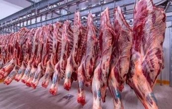 مصر.. أسعار اللحوم الطازجة والمجمدة داخل المجمعات الاستهلاكية