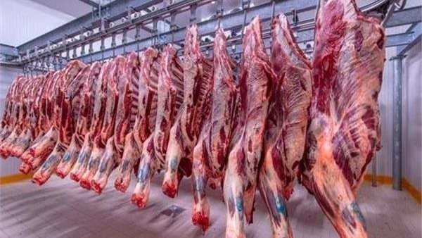 مصر.. أسعار اللحوم الطازجة والمجمدة داخل المجمعات الاستهلاكية مصر.. أسعار اللحوم الطازجة والمجمدة داخل المجمعات الاستهلاكية