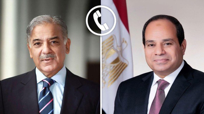 الرئيس السيسي يعرب عن ترحيب مصر باتفاق وقف إطلاق النار بين الهند وباكستان الرئيس السيسي يعرب عن ترحيب مصر باتفاق وقف إطلاق النار بين الهند وباكستان