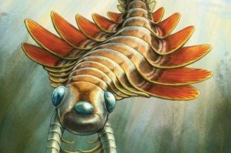 مفترس بثلاثة أعين.. مخلوق بحري غريب جاب المحيطات قبل 500 مليون سنة