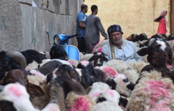 بالصور.. استعداد الأسواق لموسم عيد الأضحى المبارك