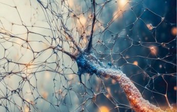 الولايات المتحدة تعتمد أول فحص دم لتشخيص ألزهايمر وتمدّ الأمل بالتشخيص المبكر