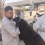 khaligyoun62819