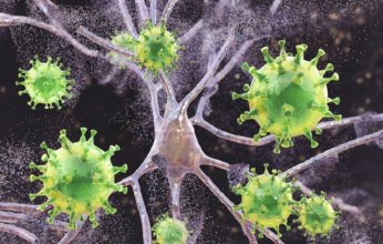 دراسة تكشف ارتباطًا جديدًا بين فيروس شائع وتطوّر مرض ألزهايمر