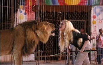 31 مايو أولى جلسات أنوسة كوتة في واقعة أكل نمر ذراع عامل سيرك طنطا