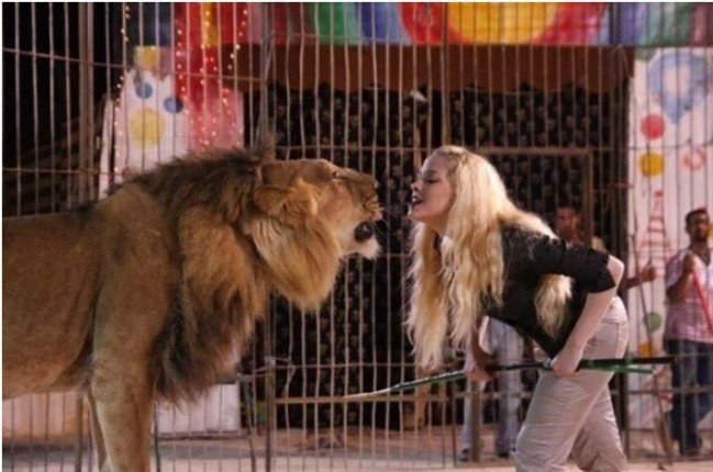 31 مايو أولى جلسات أنوسة كوتة في واقعة أكل نمر ذراع عامل سيرك طنطا 31 مايو أولى جلسات أنوسة كوتة في واقعة أكل نمر ذراع عامل سيرك طنطا
