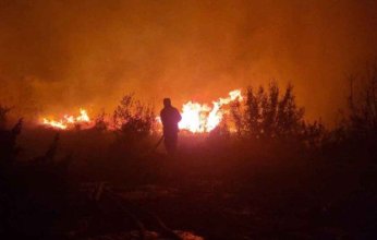 سوريا.. فرق الإطفاء تواصل مكافحة حرائق غابات اللاذقية