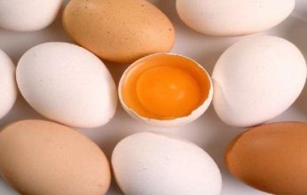 خبير يحذر: الإفراط في تناول البيض يهدد صحة القلب
