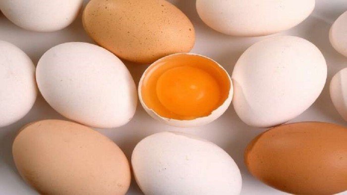 خبير يحذر: الإفراط في تناول البيض يهدد صحة القلب خبير يحذر: الإفراط في تناول البيض يهدد صحة القلب