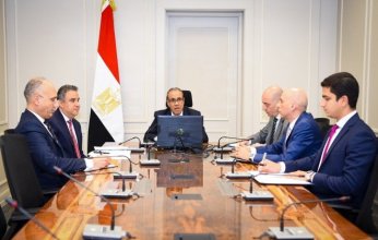 مصر.. وزير الخارجية والهجرة يعقد اجتماعًا افتراضيًا مع رؤساء البعثات المصرية بالخارج