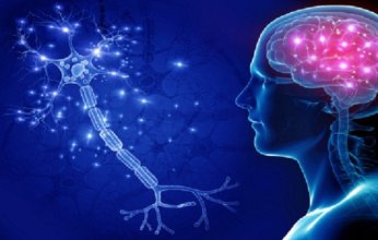 دراسة حديثة: عادات غير صحية واضطرابات التمثيل الغذائي تسرّع شيخوخة الدماغ