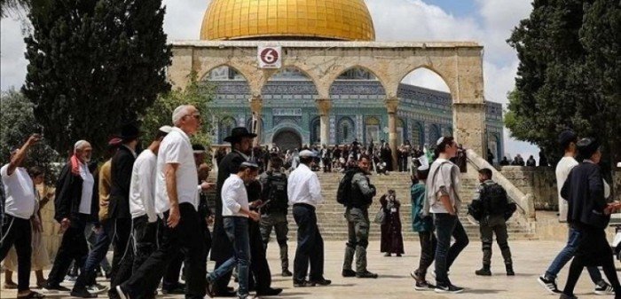 عشرات المستوطنين يقتحمون باحات المسجد الأقصى تحت حماية شرطة الاحتلال عشرات المستوطنين يقتحمون باحات المسجد الأقصى تحت حماية شرطة الاحتلال