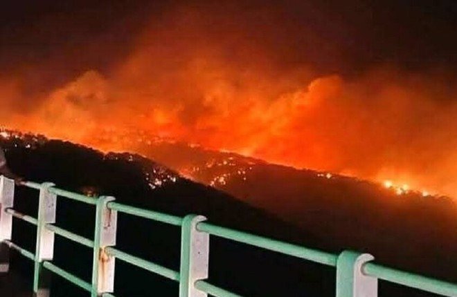 ليبيا.. السيطرة على حرائق وادي الكوف وتحذيرات من تجددها مع ارتفاع درجات الحرارة ليبيا.. السيطرة على حرائق وادي الكوف وتحذيرات من تجددها مع ارتفاع درجات الحرارة