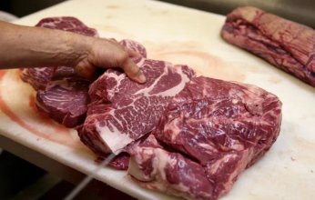 هل تسربت لحوم حمير إلى المطاعم في مصر؟ نقيب الفلاحين يصدر تصريحات صادمة