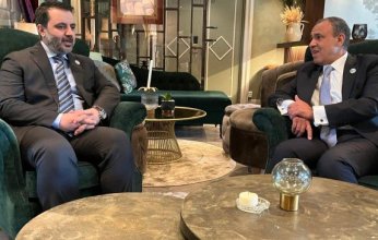 وزير الخارجية المصري يُدين الانتهاكات الإسرائيلية المتكررة للسيادة السورية