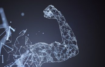 وداعًا للوهن.. علاج جديد يعيد شباب العضلات ويقاوم آثار الشيخوخة