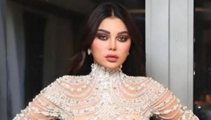 هيفاء وهبي ترفض التسوية وتصعّد أزمتها مع نقابة الموسيقيين إلى ساحات القضاء المصري هيفاء وهبي ترفض التسوية وتصعّد أزمتها مع نقابة الموسيقيين إلى ساحات القضاء المصري