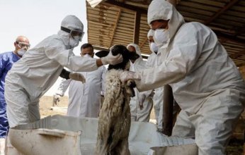العراق يسجل 107 حالات إصابة بالحمى النزفية بينها 16 وفاة