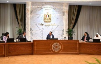 مصر تبحث مع "برجيل القابضة" الإماراتية التعاون في إدارة وحدة زرع النخاع بمستشفى الشيخ زايد