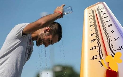 الأرصاد المصرية: طقس الاثنين شديد الحرارة نهارًا والرطوبة مرتفعة.. والعظمى بالقاهرة 37 درجة الأرصاد المصرية: طقس الاثنين شديد الحرارة نهارًا والرطوبة مرتفعة.. والعظمى بالقاهرة 37 درجة