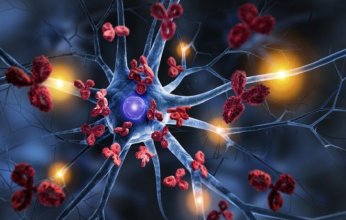 اختراق طبي: اختبار دم ثوري لتشخيص الداء البطني دون الحاجة لتناول الغلوتين